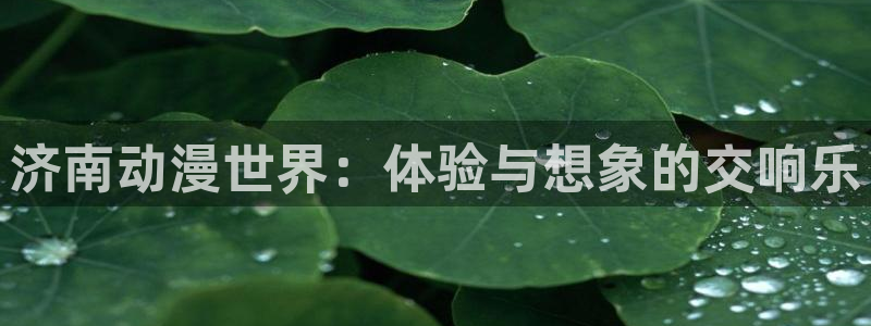 无限穿越里番动漫