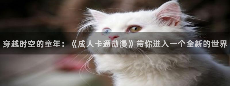 里番动漫是什么?