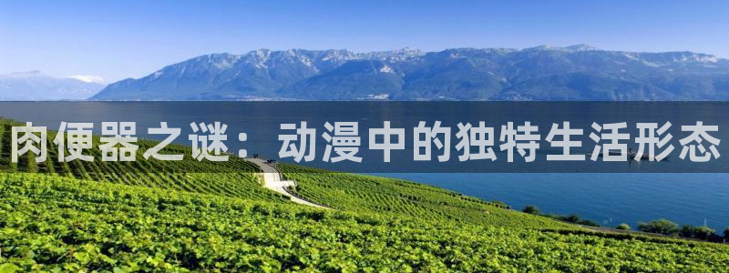 bl里番动漫在线观看